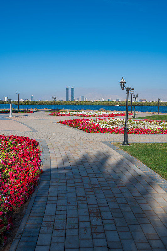 美丽的花园在Ras al Khaimah滨海步行区的小溪水湖和红树林